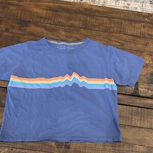 Patagonia cropped Tee with Multicolor Wave Stripe